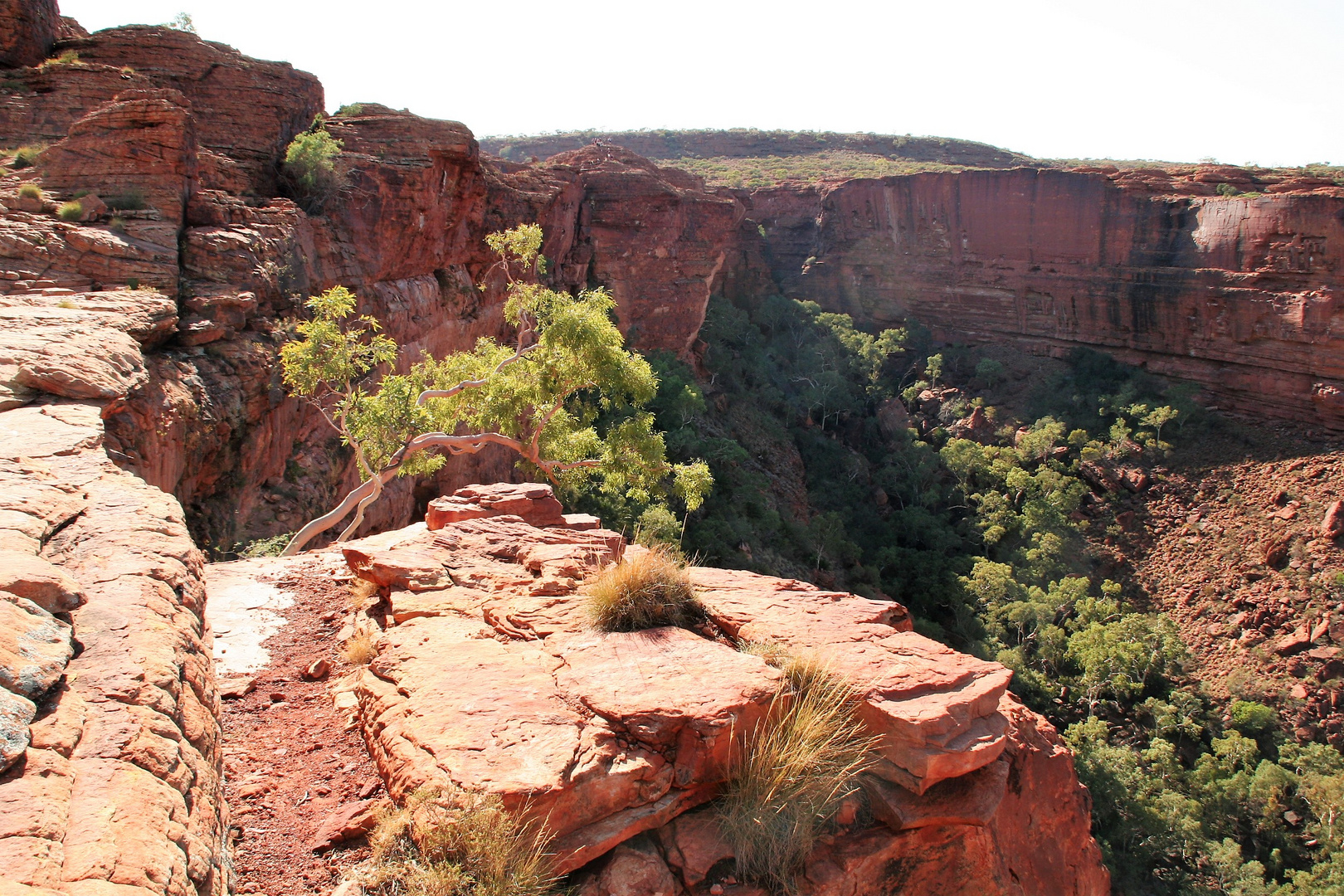 Kings Canyon K-54  Chrome AWad