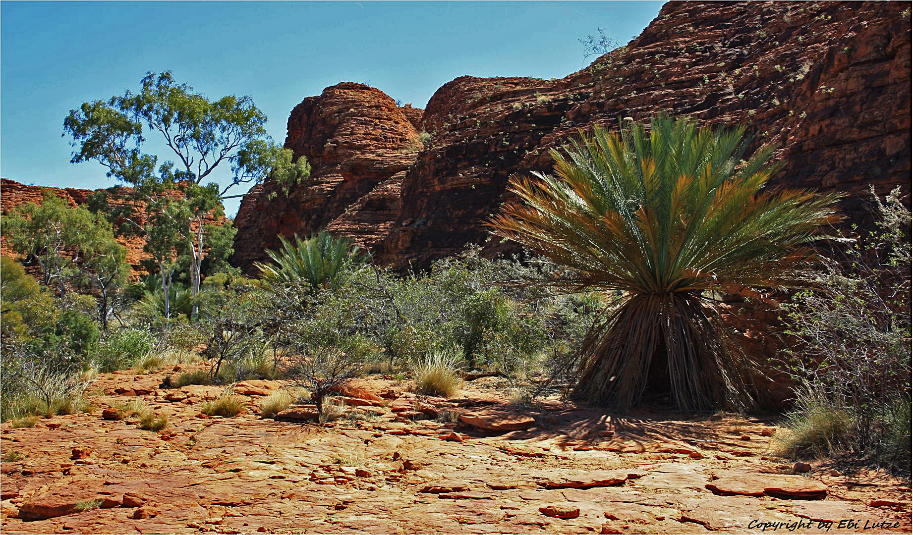 * Kings Canyon Rim Walk 3 * 