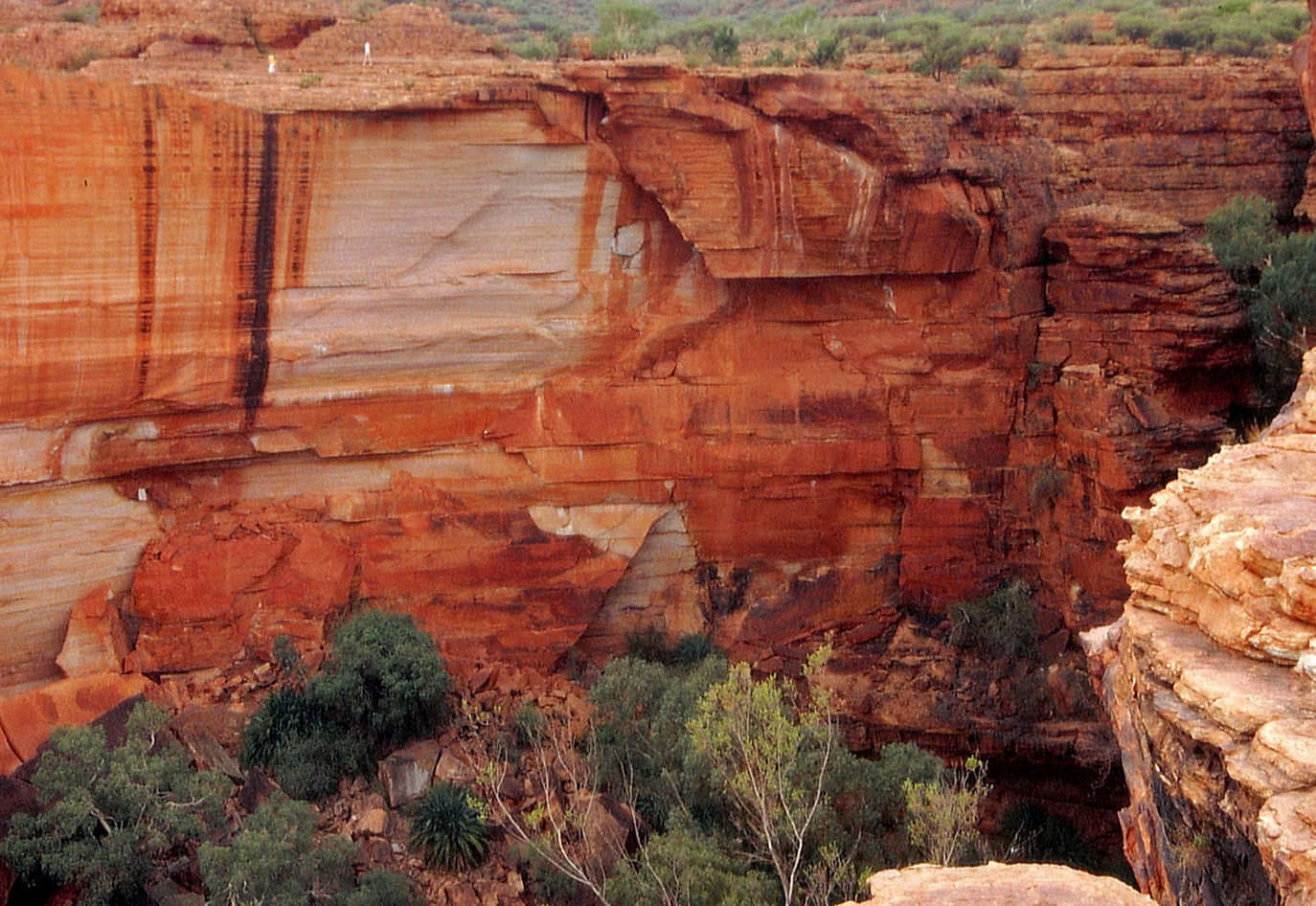 Kings Canyon - rim walk