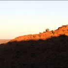 Kings Canyon Sunrise