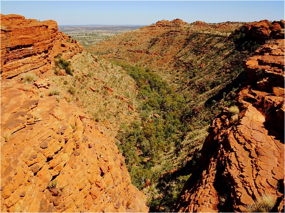 Kings Canyon **the Rim Walk