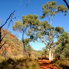 Kings Creek Walk (4)