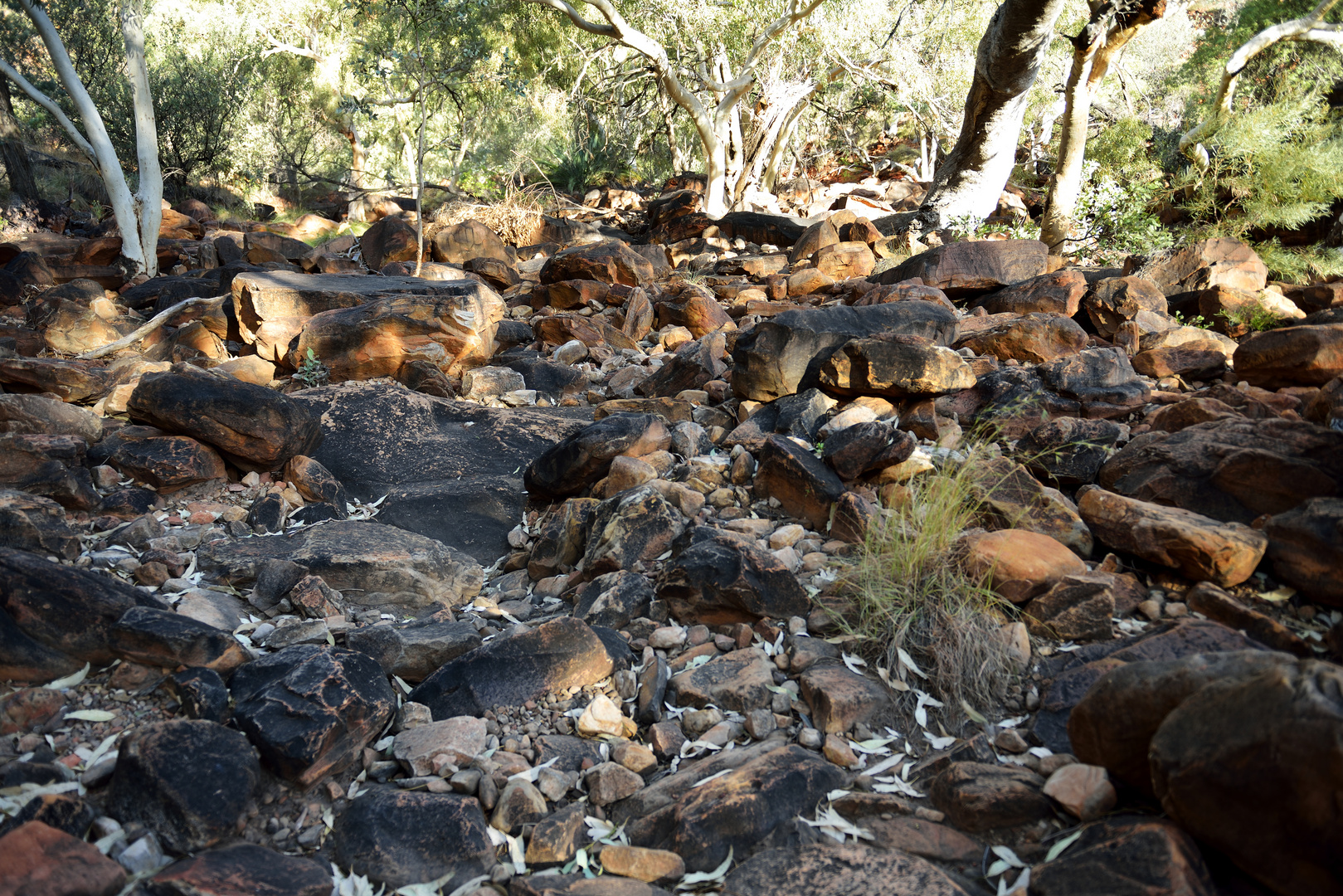 Kings Creek Walk 4: Flussbett