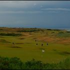 Kingsbarns Golfclub II