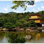 Kinkaku - Goldener Pavillon mit Reiher