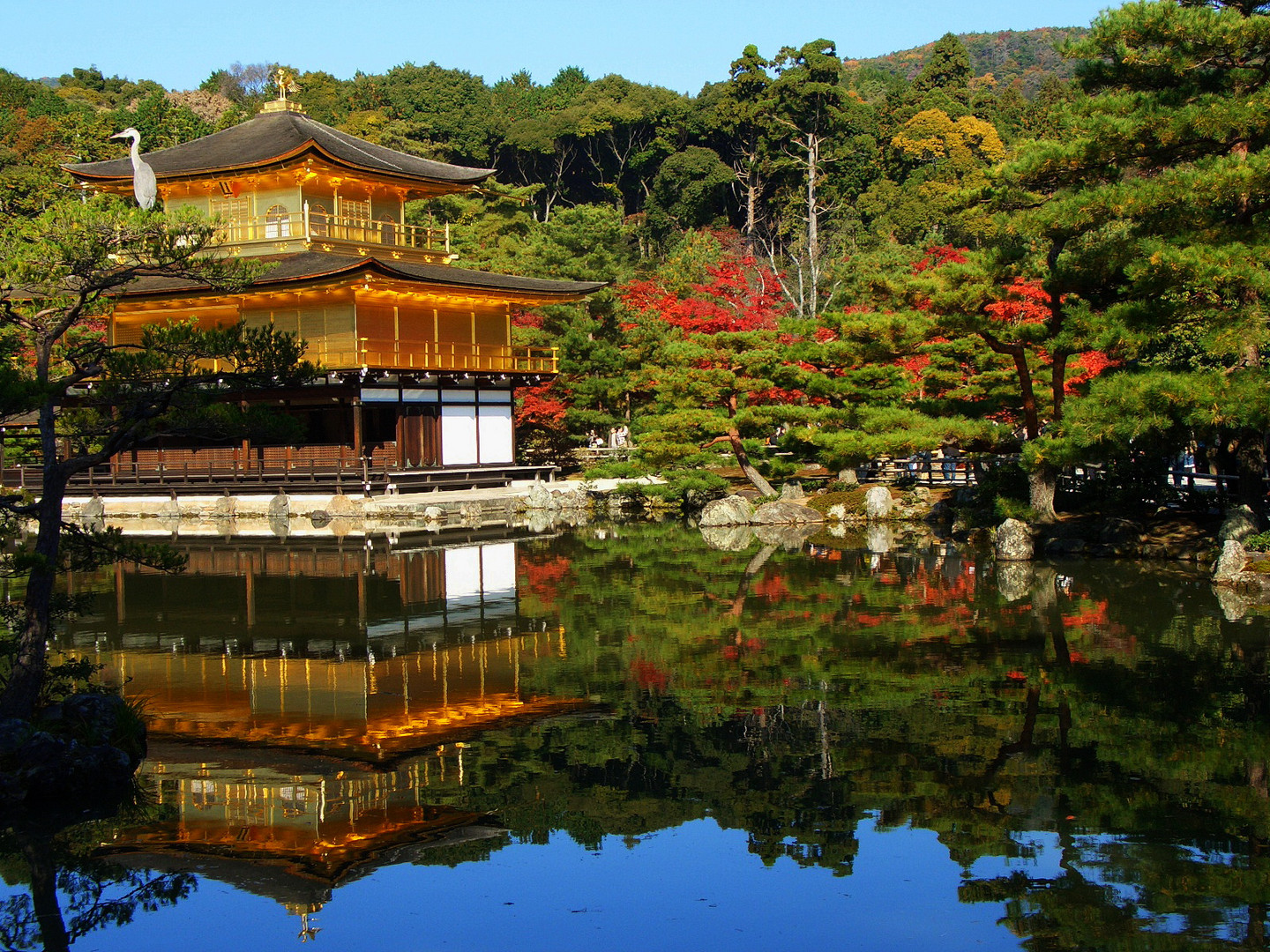 Kinkaku-ji