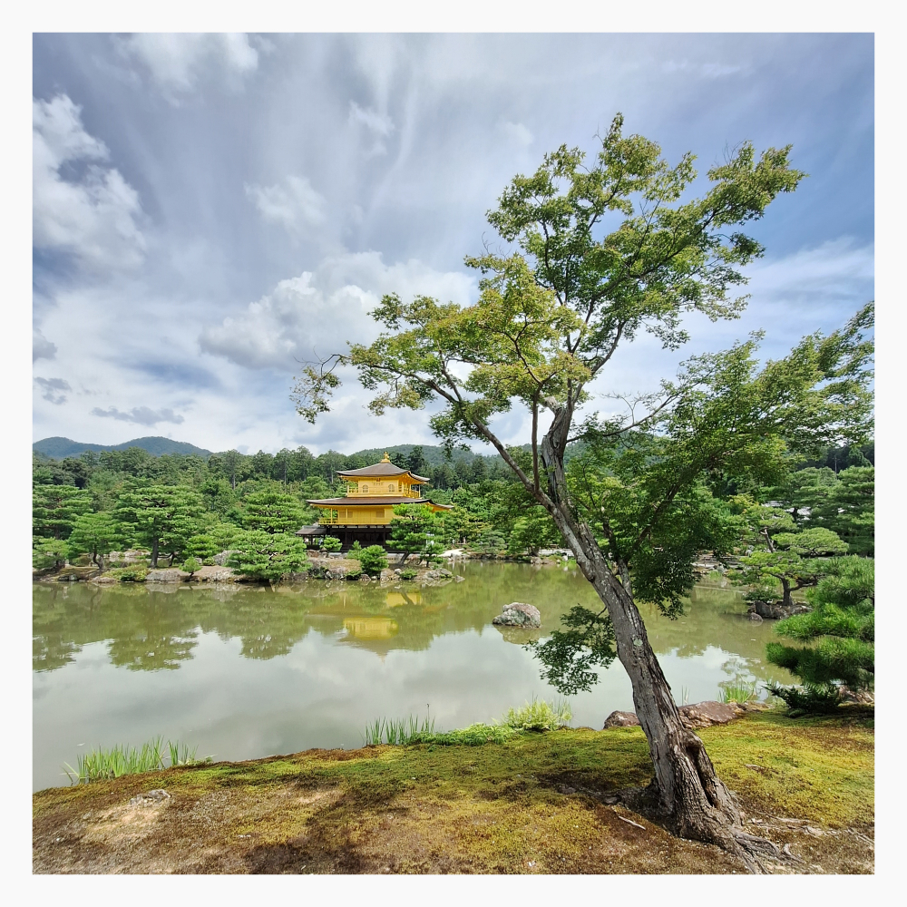 Kinkaku-ji   