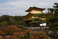 Kinkaku-ji - der Goldene Pavillon