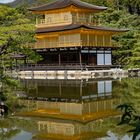 Kinkaku-ji ~ der goldene Tempel