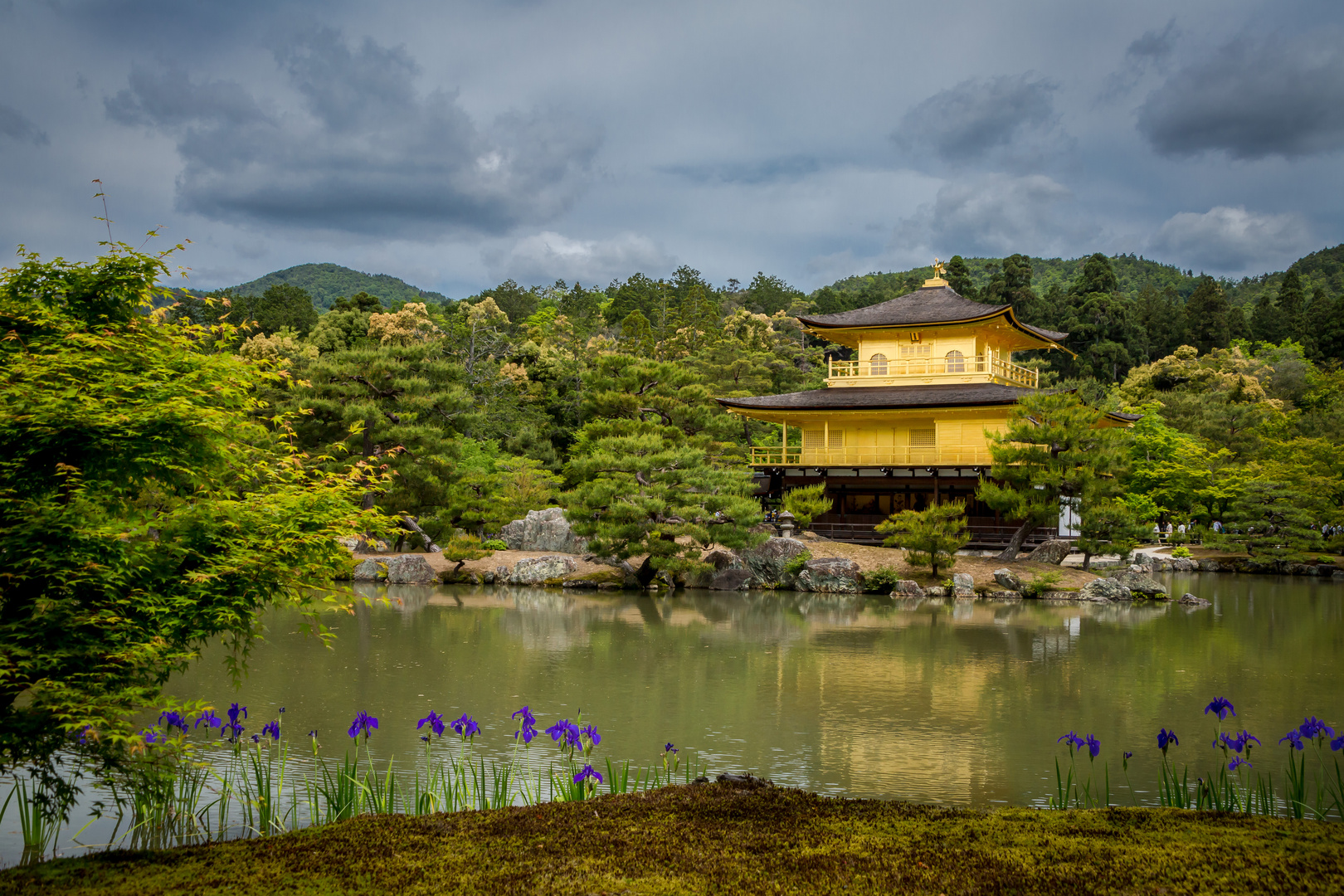 Kinkaku ji der "goldene Tempel" in Kyoto