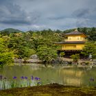 Kinkaku ji der "goldene Tempel" in Kyoto