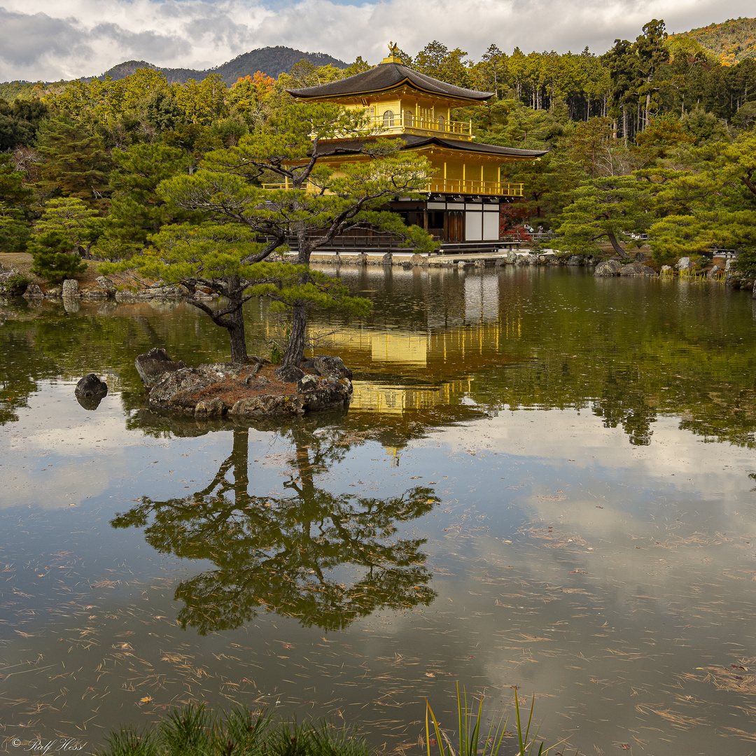 Kinkaku-ji 