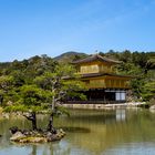 Kinkaku-ji - Goldener Pavillion - Kyoto