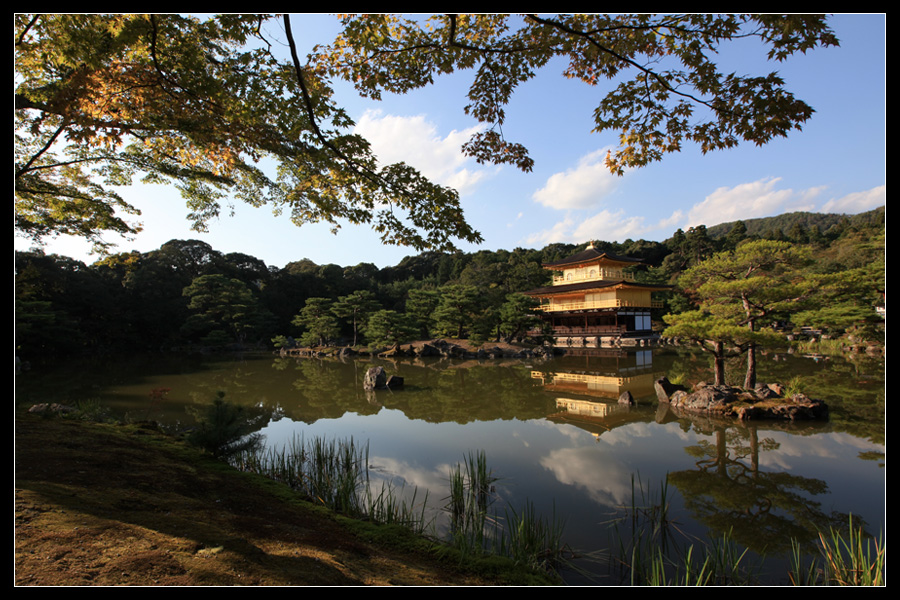 Kinkaku-ji I