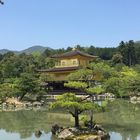 Kinkaku-ji Temple Kyoto