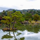 Kinkakuji 