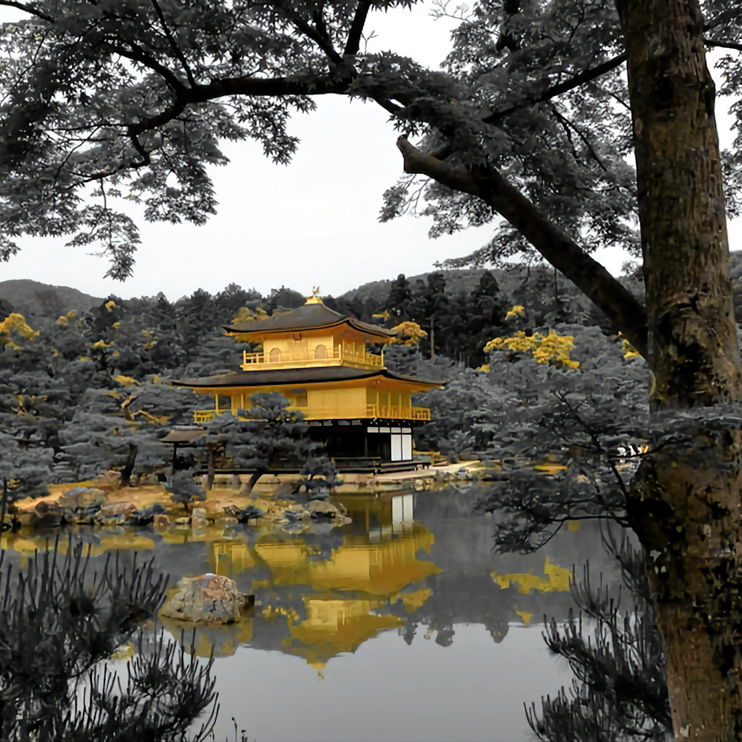 Kinkakuji (der goldene Pavilion) in Kyoto