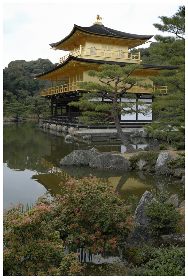 Kinkakuji, Kyoto (2)