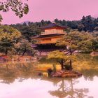 Kinkakuji Temple