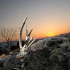 kinneret lakeside