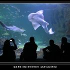 Kino im Sydney Aquarium