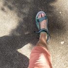 User Profile Photo