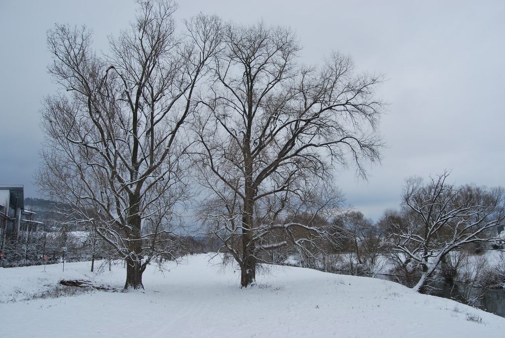 Kinzig im Winter