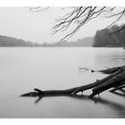 Kinzig-Stausee Steinau