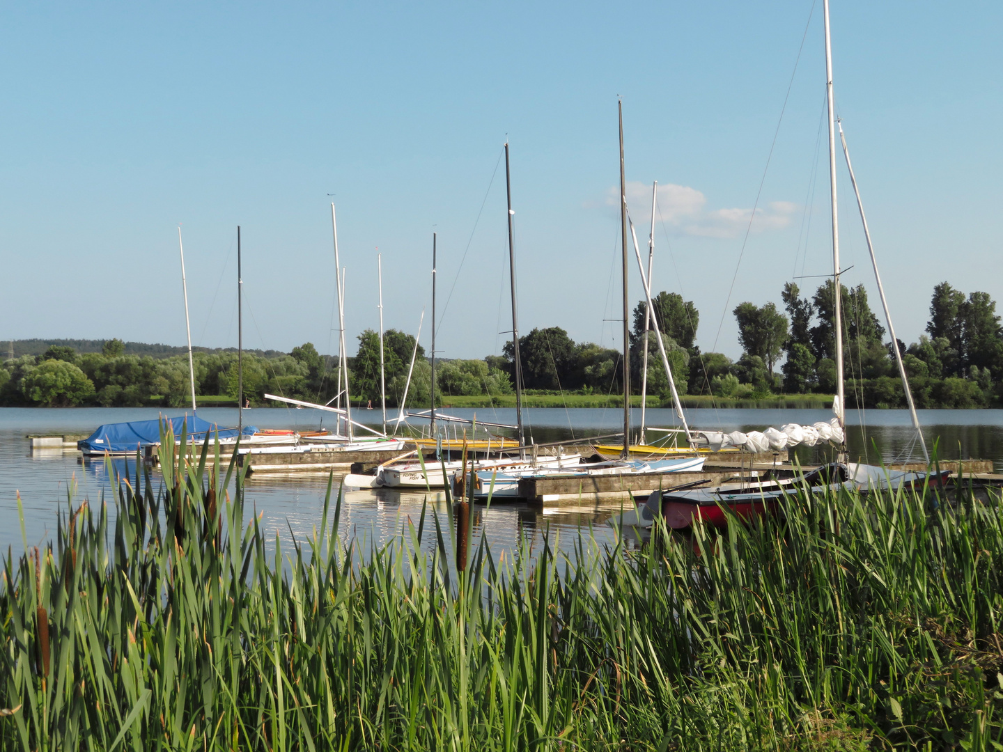 Kinzigsee Langenselbold