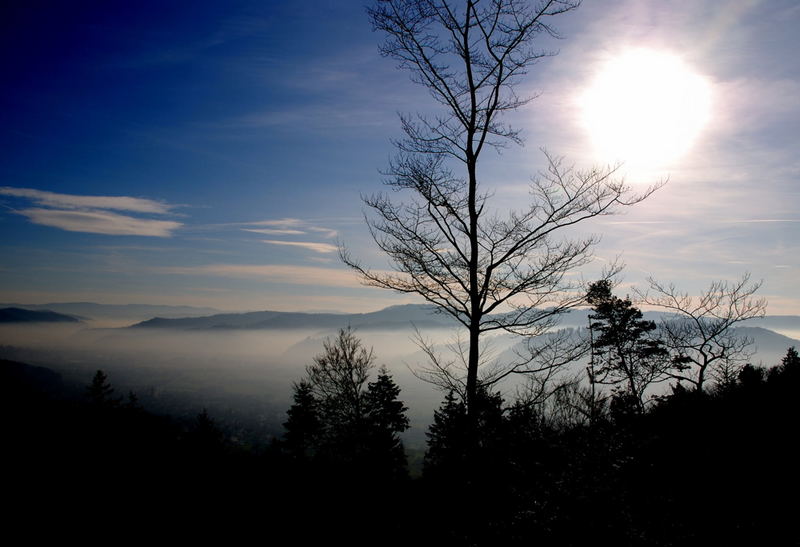 Kinzigtal im Nebel