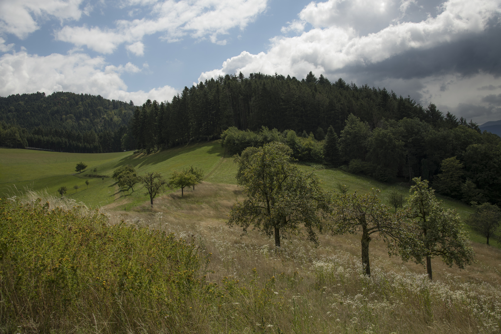 Kinzigtal - Schwarzwald