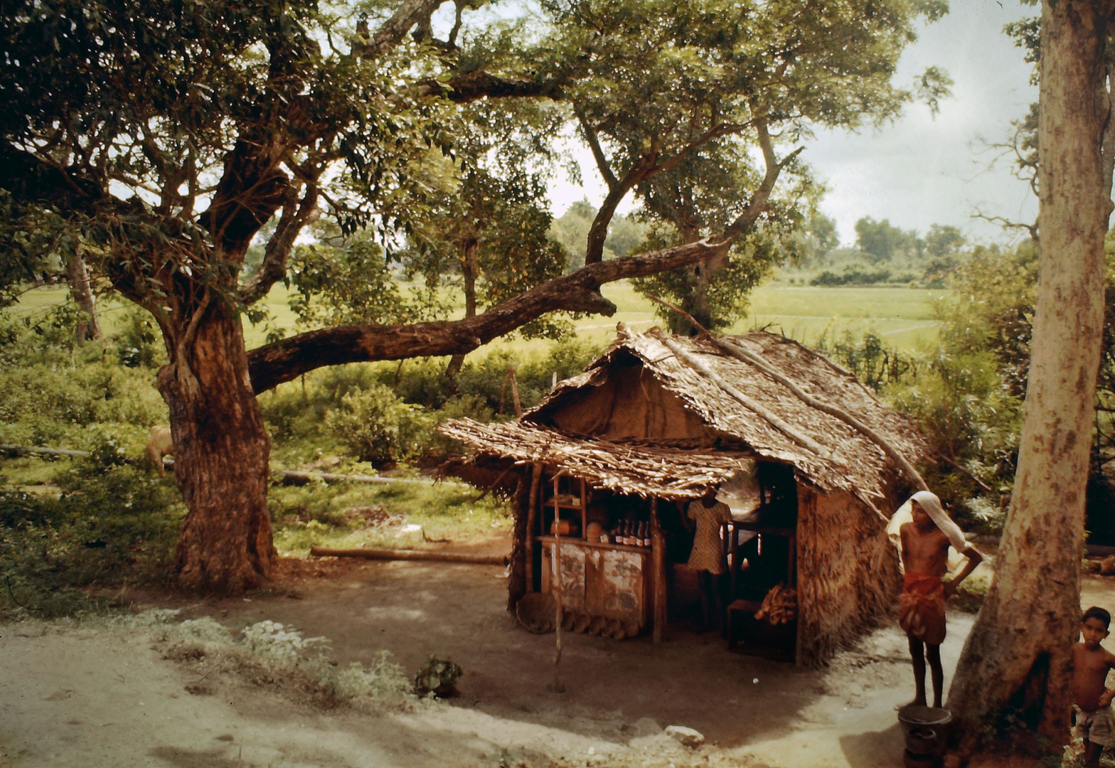 "Kiosk" in Sri Lanka 1974