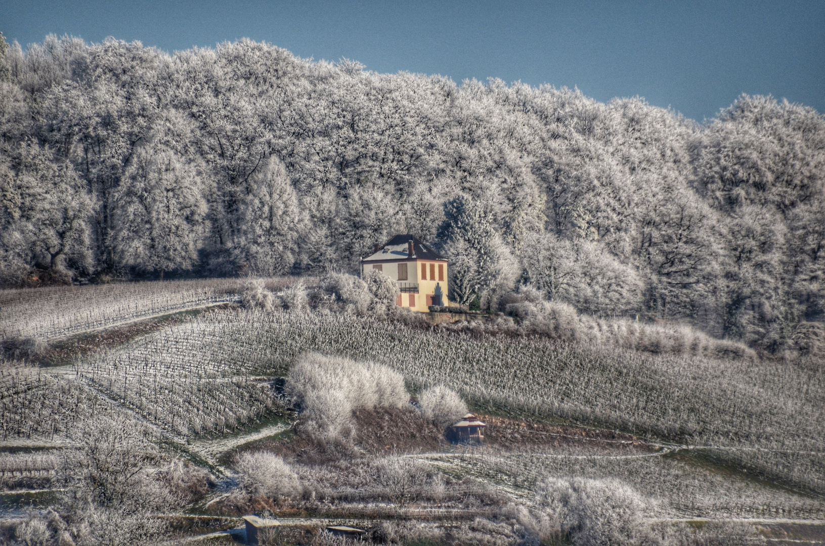 Kippenheim im Winter