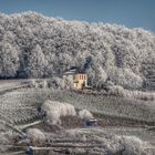 Kippenheim im Winter