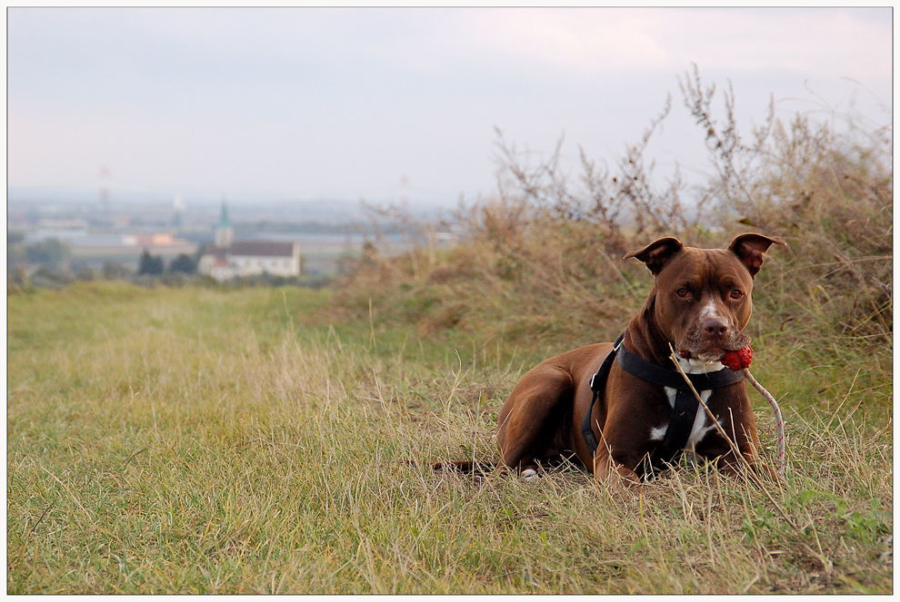 Kira posing - einmal mit...