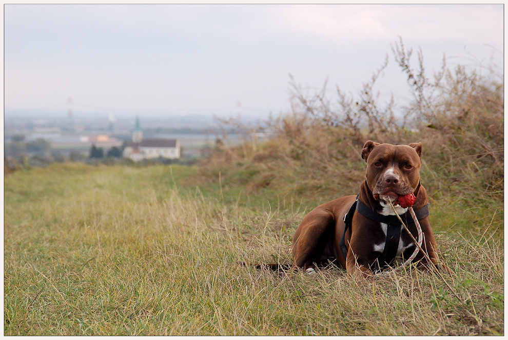 Kira posing - und einmal ohne...