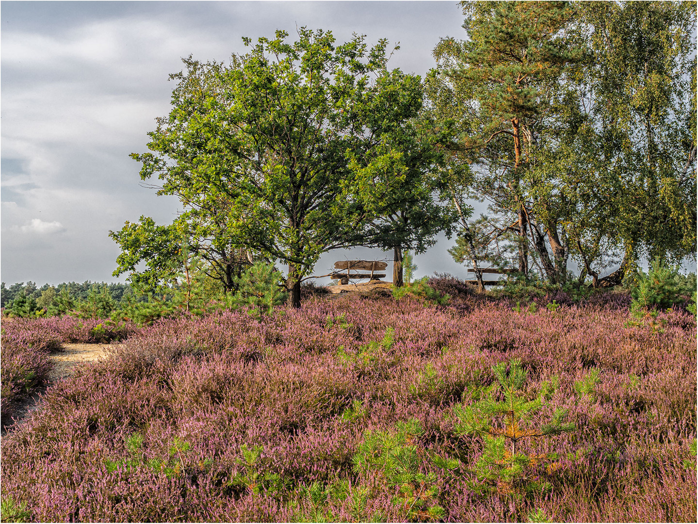 Kirchdorfer Heide