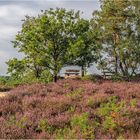 Kirchdorfer Heide