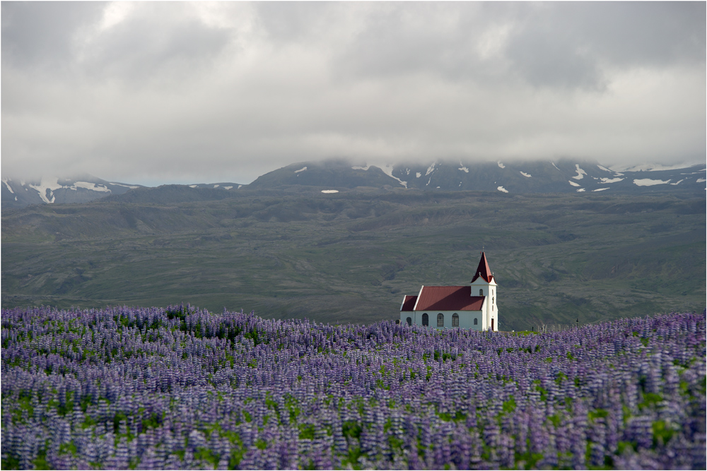 Kirche an Lupinien