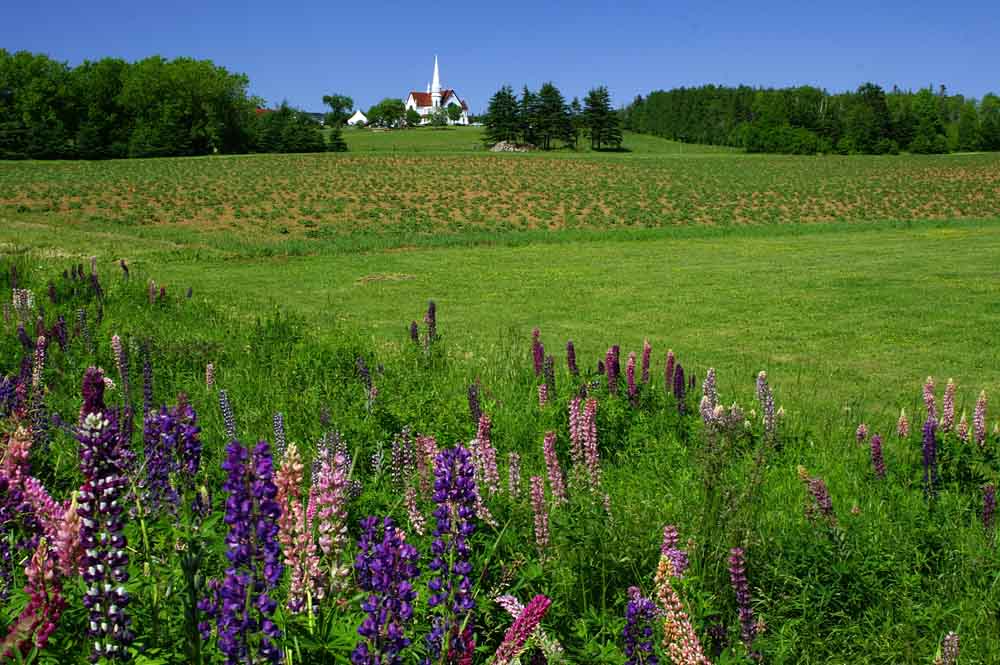 Kirche auf Prince Edward Island 03