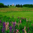 Kirche auf Prince Edward Island 03