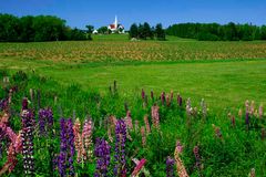 Kirche auf Prince Edward Island 03