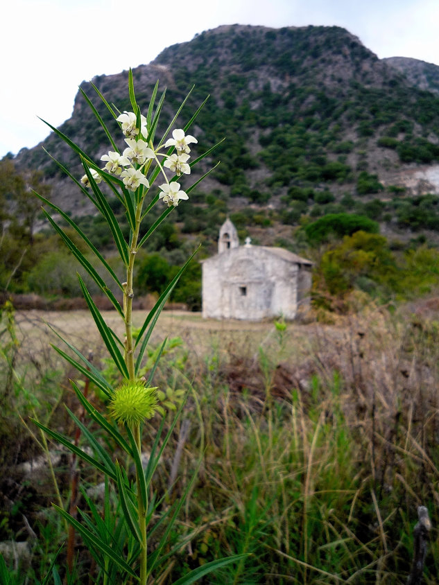 Kirche bei Agriopolis
