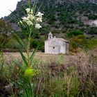 Kirche bei Agriopolis