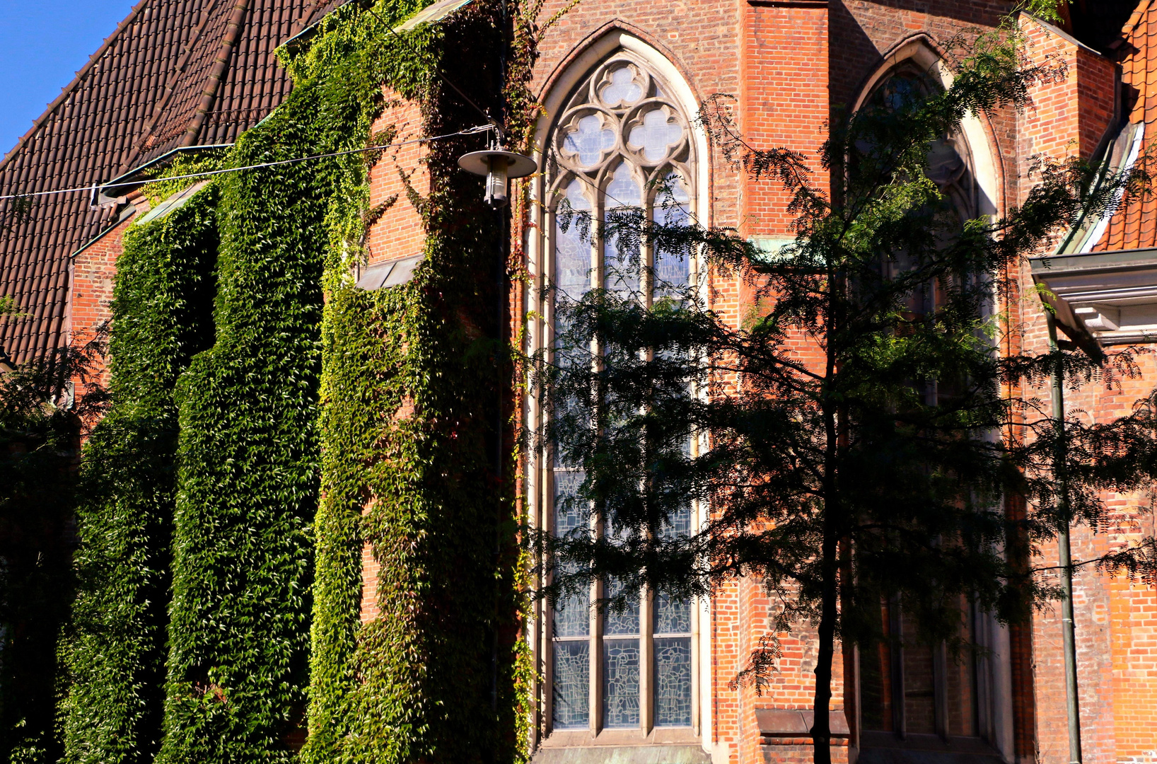 Kirche, grün bewachsen 