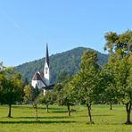 Kirche hinter Obstbäumen