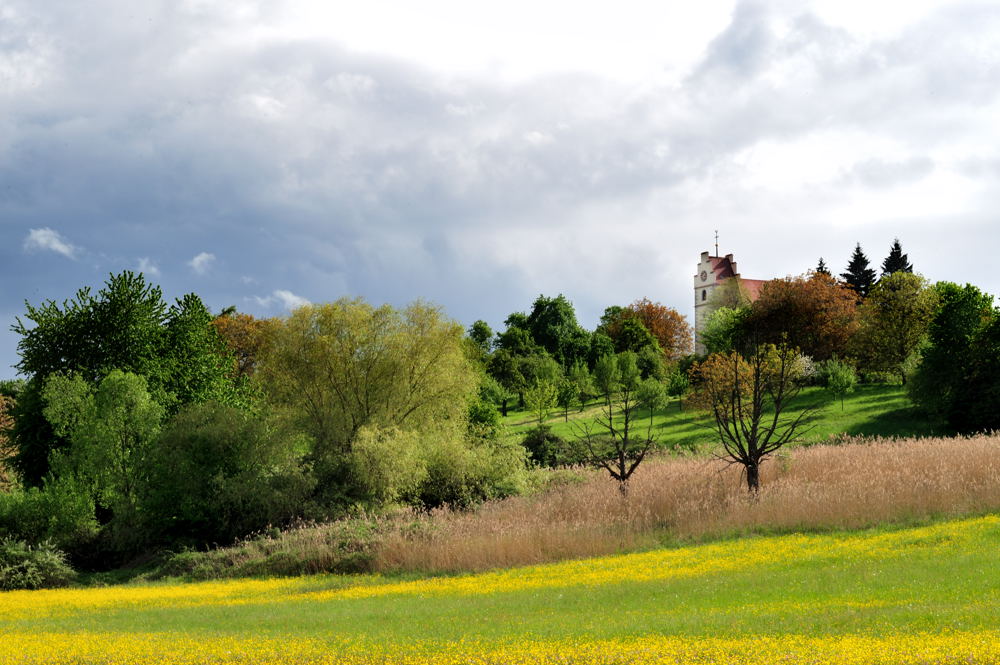 Kirche Horn