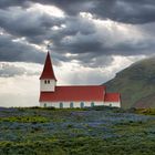 Kirche im Blumenfeld