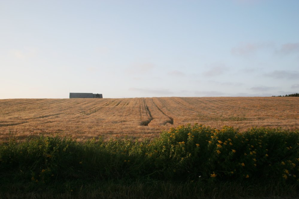 Kirche im Feld