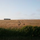 Kirche im Feld